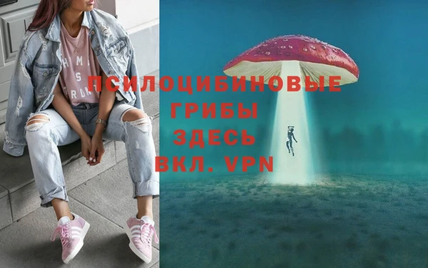 крисы Беломорск