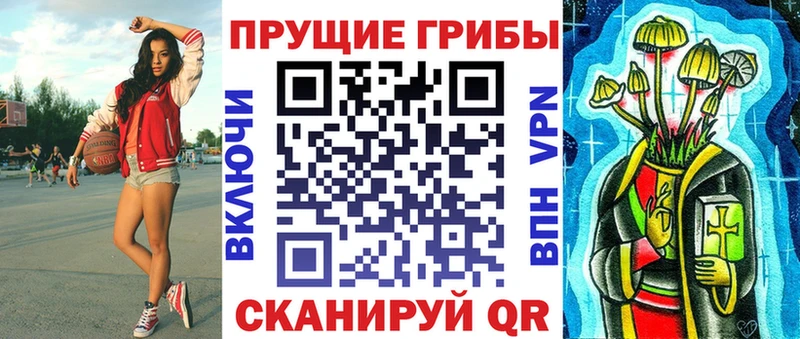 omg как зайти  Высоцк  Галлюциногенные грибы GOLDEN TEACHER 